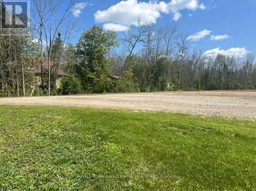 Lot 46 River Road, Kawartha Lakes (Fenelon Falls), ON 