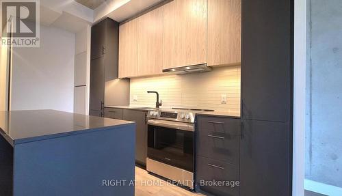 206 - 10 James Street, Ottawa, ON - Indoor Photo Showing Kitchen