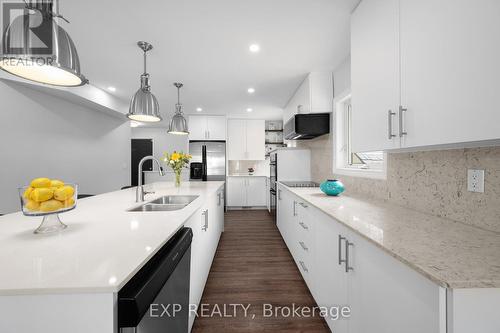 183 Lake Drive N, Georgina, ON - Indoor Photo Showing Kitchen With Double Sink With Upgraded Kitchen