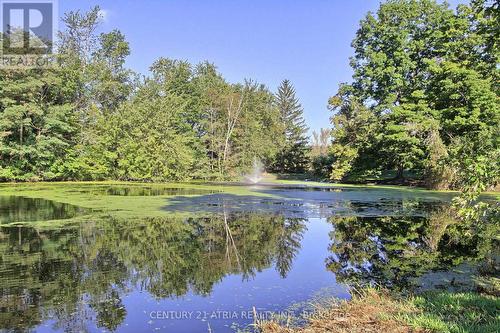 7580 16Th Side Road, King, ON - Outdoor With View