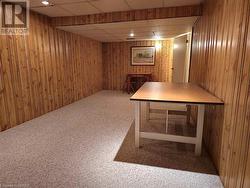 Basement with carpet flooring, a drop ceiling, and wood walls - 