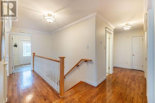 11 Larner Street, St. John'S, NL - Indoor Photo Showing Other Room