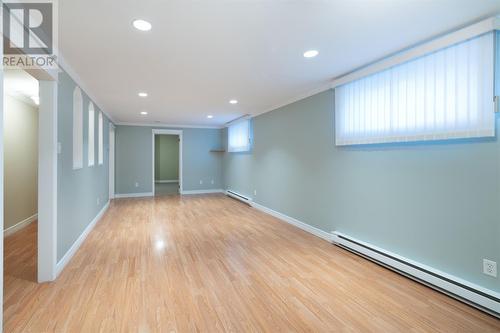 11 Larner Street, St. John'S, NL - Indoor Photo Showing Other Room