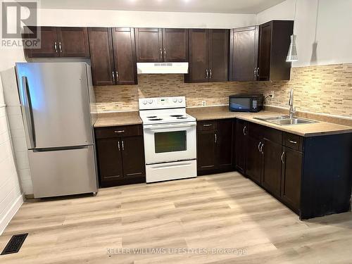 491 Charlotte Street, London, ON - Indoor Photo Showing Kitchen With Double Sink