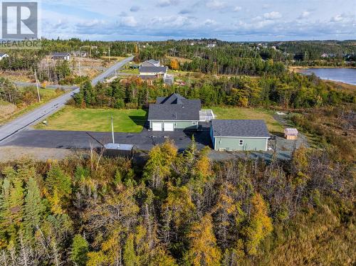 6 Autumn Drive, Whitbourne, NL - Outdoor With View