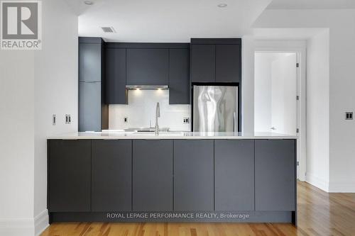 306 - 375 Lisgar Street, Ottawa, ON - Indoor Photo Showing Kitchen