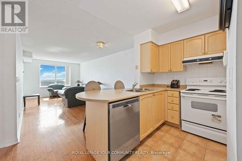 909 - 23 Oneida Crescent, Richmond Hill, ON - Indoor Photo Showing Kitchen With Double Sink