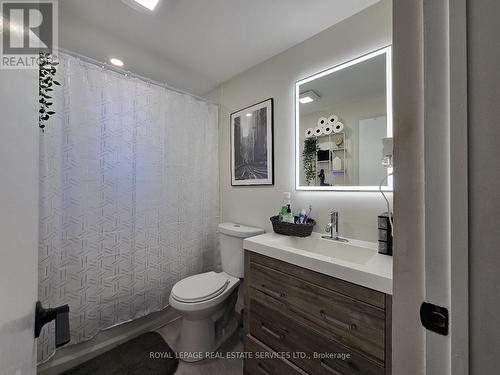 2 - 18 Ewing Street, Halton Hills, ON - Indoor Photo Showing Bathroom