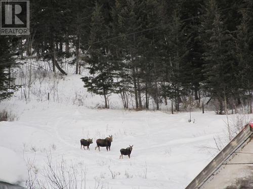 107 Chesley Road, Quesnel, BC - Outdoor