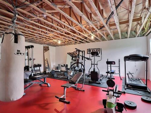 Salle d'exercice - 28 Rue François-Bertrand, Sainte-Catherine-De-La-Jacques-Cartier, QC - Indoor Photo Showing Gym Room