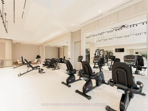 618-28 Ann St, Mississauga, ON - Indoor Photo Showing Gym Room