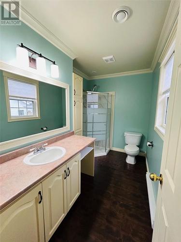 12 Thomas Street, Grand Falls-Windsor, NL - Indoor Photo Showing Bathroom