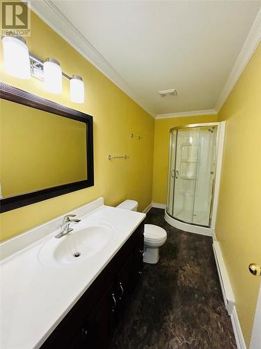 12 Thomas Street, Grand Falls-Windsor, NL - Indoor Photo Showing Bathroom