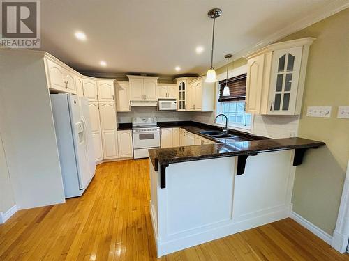 12 Thomas Street, Grand Falls-Windsor, NL - Indoor Photo Showing Kitchen With Double Sink