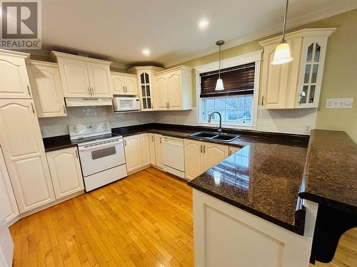 12 Thomas Street, Grand Falls-Windsor, NL - Indoor Photo Showing Kitchen With Double Sink