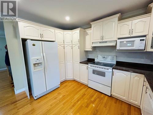 12 Thomas Street, Grand Falls-Windsor, NL - Indoor Photo Showing Kitchen