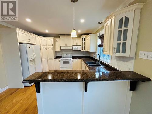 12 Thomas Street, Grand Falls-Windsor, NL - Indoor Photo Showing Kitchen With Double Sink