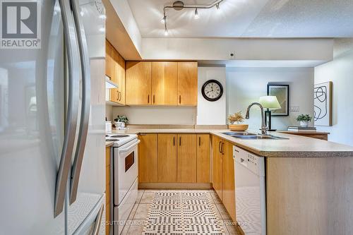 1702 - 17 Sudbury Street, Toronto, ON - Indoor Photo Showing Kitchen With Double Sink