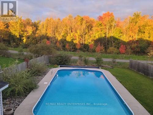 28 Sun King Crescent, Barrie, ON - Outdoor With In Ground Pool With Backyard