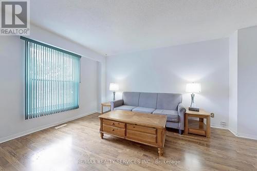 58 Mayfair Crescent, Brampton, ON - Indoor Photo Showing Living Room