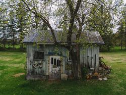 Shed - 