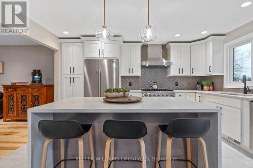 562 Grand View Avenue, London, ON - Indoor Photo Showing Kitchen With Stainless Steel Kitchen With Double Sink With Upgraded Kitchen