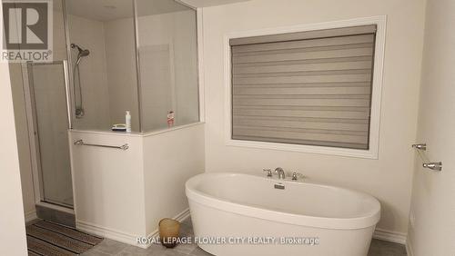 17 Hummingbird Grove, Adjala-Tosorontio, ON - Indoor Photo Showing Bathroom