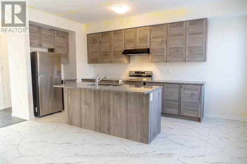 49 Holder Drive, Brantford, ON - Indoor Photo Showing Kitchen With Double Sink