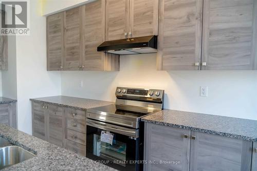 49 Holder Drive, Brantford, ON - Indoor Photo Showing Kitchen With Upgraded Kitchen