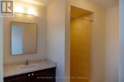 49 Holder Drive, Brantford, ON - Indoor Photo Showing Bathroom