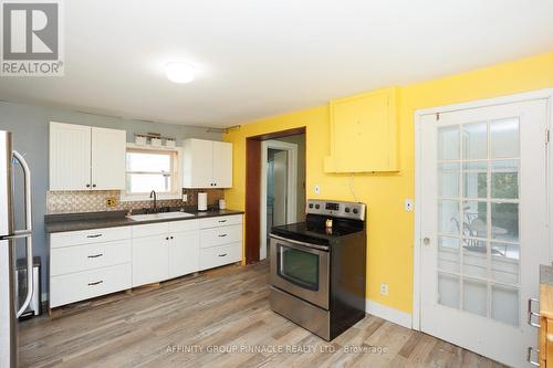 163 Sturgeon Point Road, Kawartha Lakes (Fenelon Falls), ON - Indoor Photo Showing Kitchen