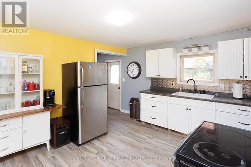 163 Sturgeon Point Road, Kawartha Lakes (Fenelon Falls), ON - Indoor Photo Showing Kitchen