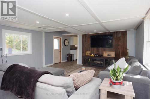 163 Sturgeon Point Road, Kawartha Lakes (Fenelon Falls), ON - Indoor Photo Showing Living Room