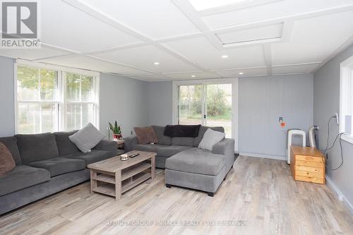 163 Sturgeon Point Road, Kawartha Lakes (Fenelon Falls), ON - Indoor Photo Showing Living Room