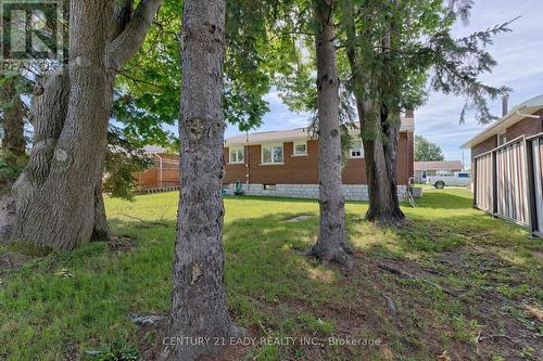 246 Basswood Avenue, Renfrew, ON - Outdoor