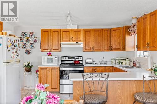 69 Malden Hill, Amherstburg, ON - Indoor Photo Showing Kitchen With Double Sink