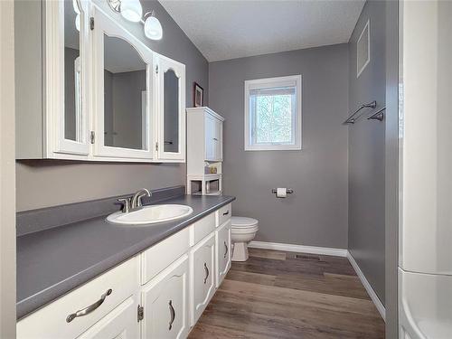 219 3Rd Avenue W, Souris, MB - Indoor Photo Showing Bathroom