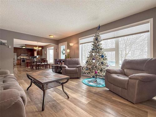 219 3Rd Avenue W, Souris, MB - Indoor Photo Showing Living Room