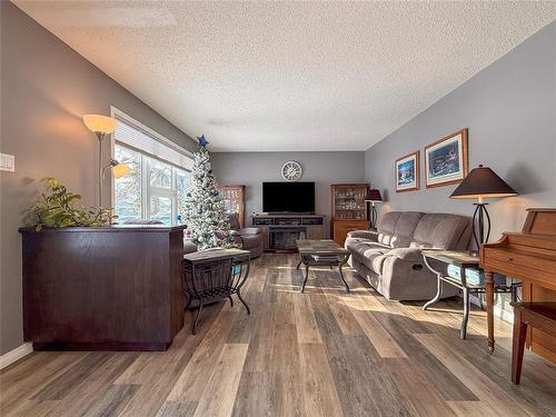 219 3Rd Avenue W, Souris, MB - Indoor Photo Showing Living Room