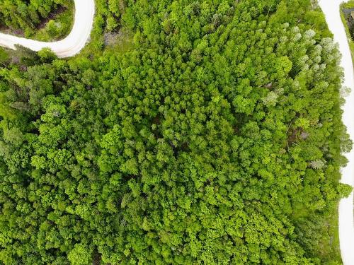 Aerial photo - Ch. Des Hautes-Cîmes, Amherst, QC 