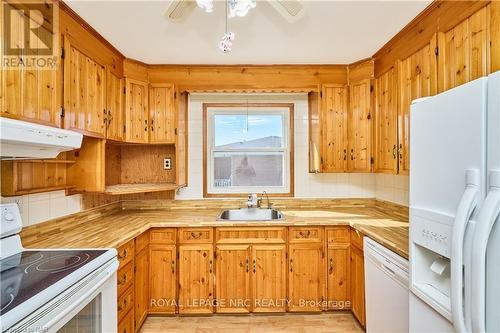 66 Rose Avenue, Thorold (557 - Thorold Downtown), ON - Indoor Photo Showing Kitchen