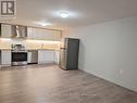 Lower - 10 Meadowvale Place, Welland (767 - N. Welland), ON  - Indoor Photo Showing Kitchen With Stainless Steel Kitchen 