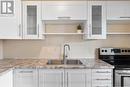 505 - 365 Geneva Street, St. Catharines (446 - Fairview), ON  - Indoor Photo Showing Kitchen With Double Sink With Upgraded Kitchen 