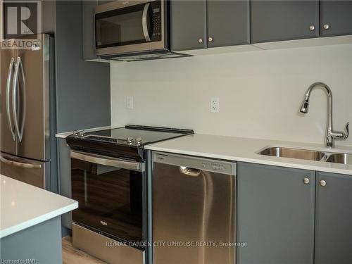 241 - 50 Herrick Avenue, St. Catharines (456 - Oakdale), ON - Indoor Photo Showing Kitchen With Double Sink