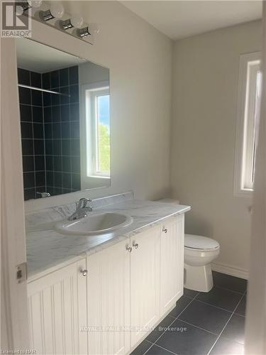 132 Palace Street, Thorold (557 - Thorold Downtown), ON - Indoor Photo Showing Bathroom