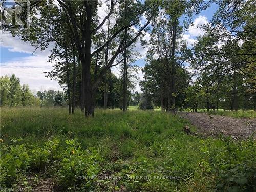 Lot 7 Bertie Street, Fort Erie (334 - Crescent Park), ON 