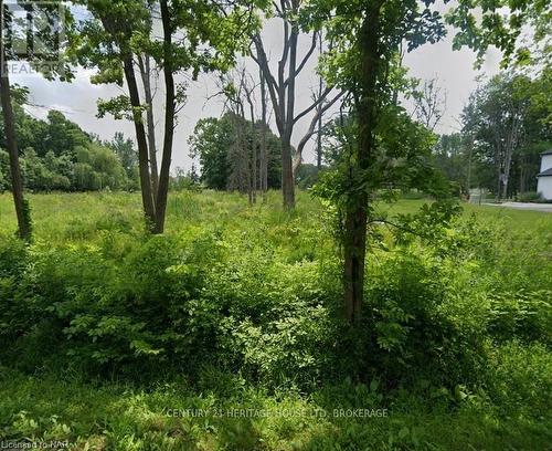 Lot 7 Bertie Street, Fort Erie (334 - Crescent Park), ON 