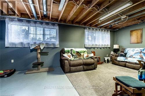 45 Knoll Street, Port Colborne (877 - Main Street), ON - Indoor Photo Showing Basement