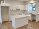 203 Park Street, Fort Erie (335 - Ridgeway), ON  - Indoor Photo Showing Kitchen With Double Sink 