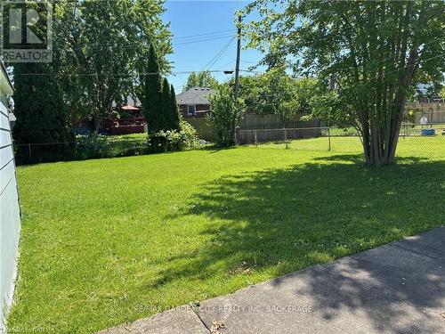 Lower - 71 Albert Street W, Thorold (557 - Thorold Downtown), ON - Outdoor With Backyard